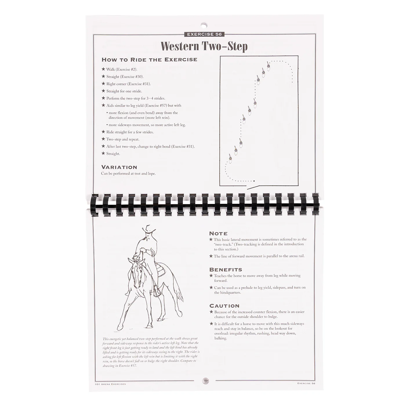 101 Arena Exercises - Image 2
