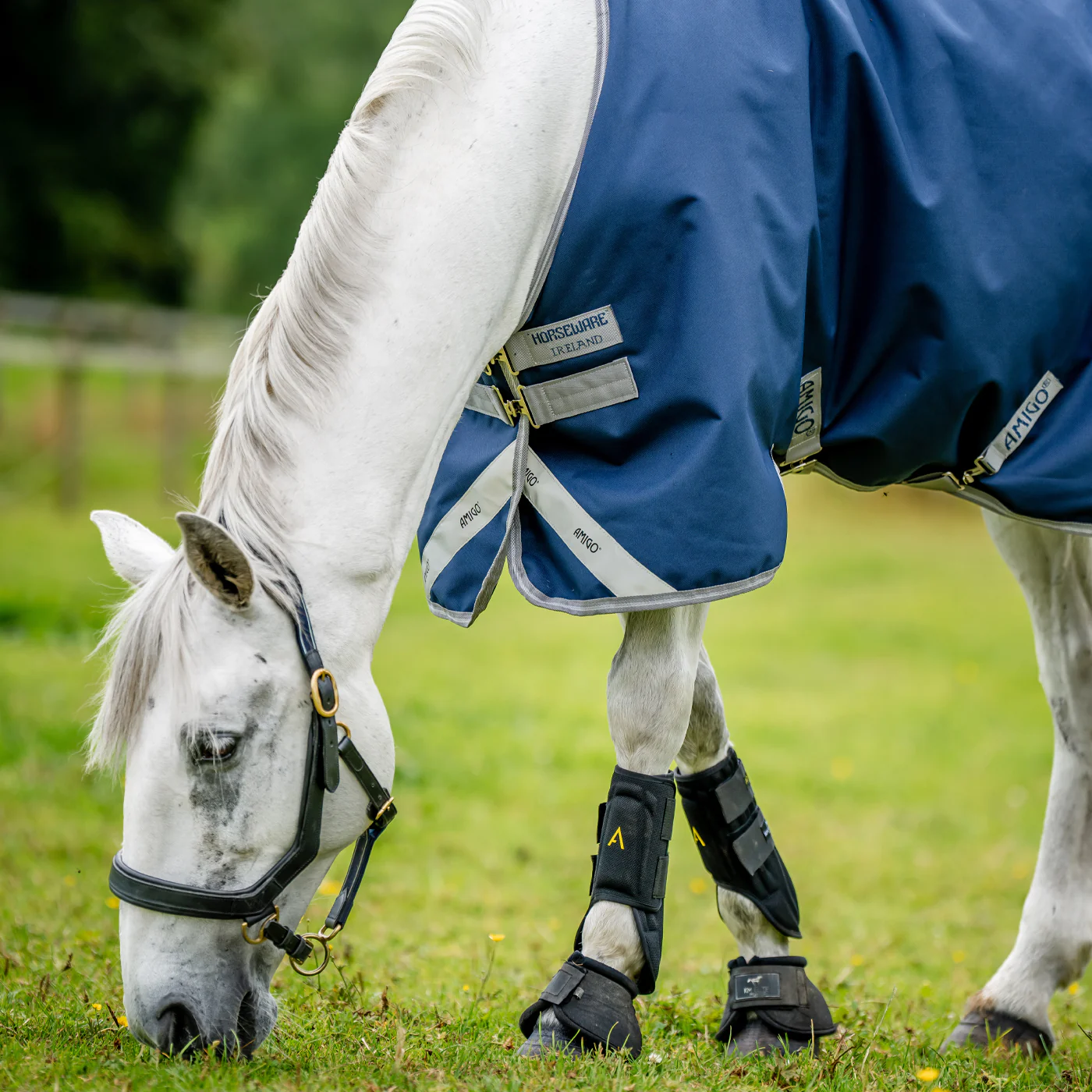 Amigo Bravo 12 Original Turnout Blanket 100 g - Image 3