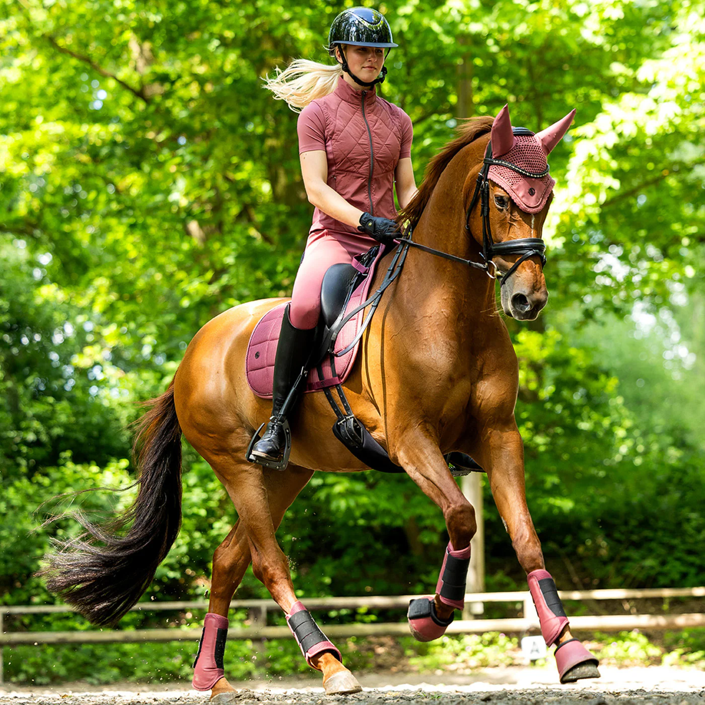 BR Idzard Dressage Saddle Pad - Image 5