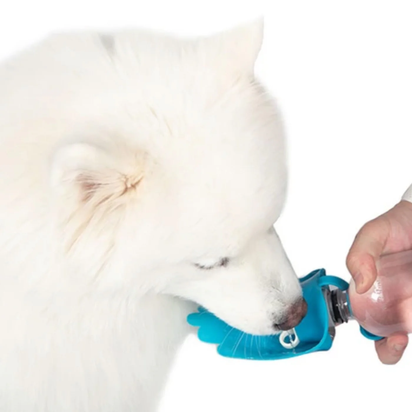 BRB Pets HydroSMART-Flex Versatile Water Bowl - Image 3