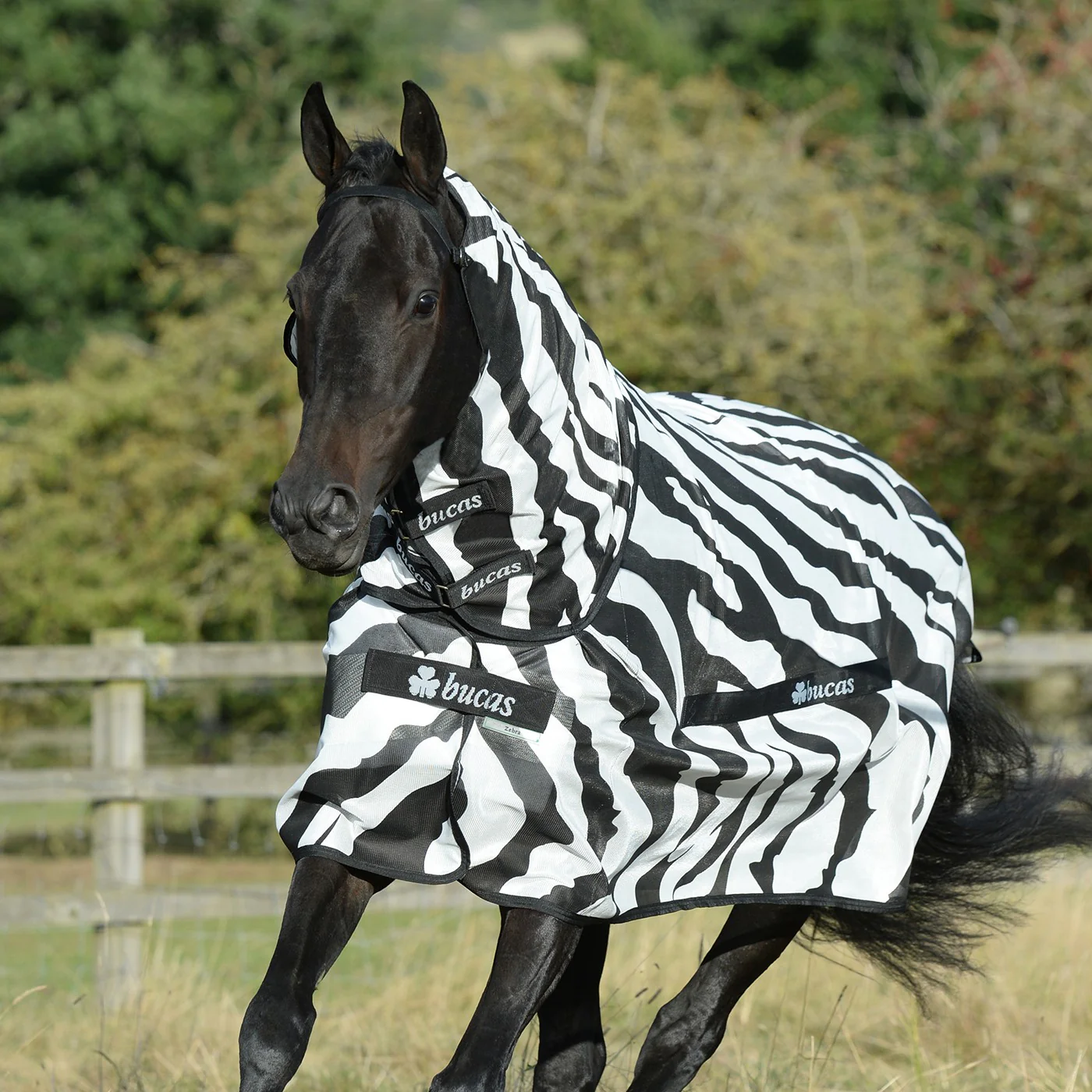 Bucas Buzz Off Zebra Full Neck Fly Sheet - Image 2