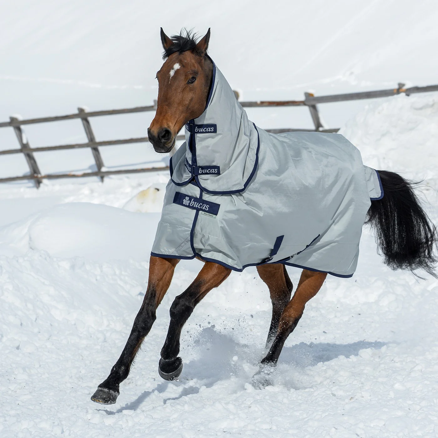 Bucas Power Extra Turnout Blanket 300 g - Image 3
