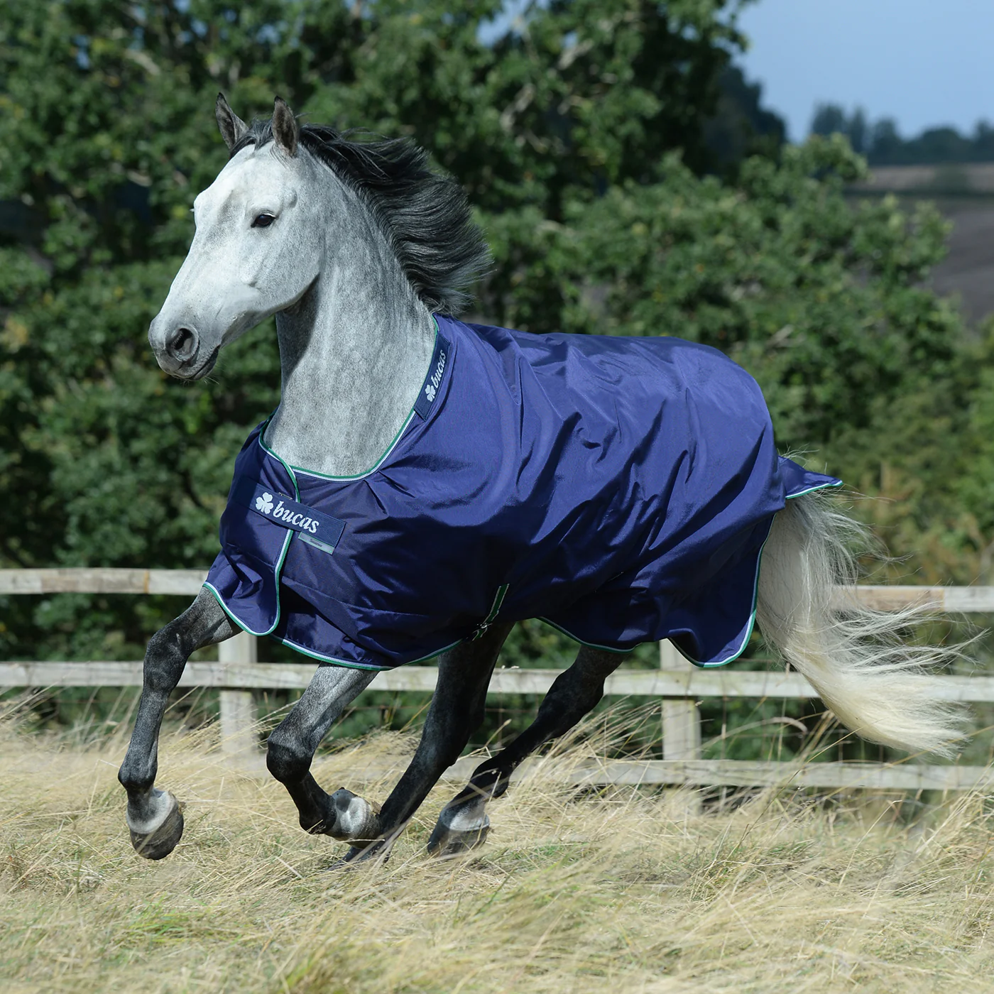 Bucas Smartex Medium Turnout Blanket 150 g