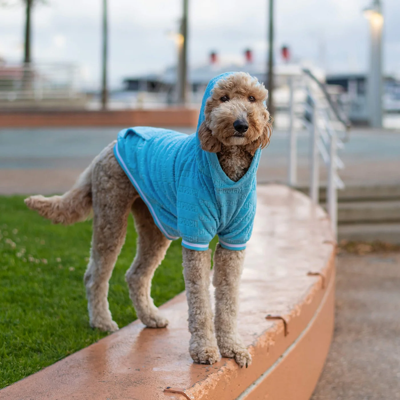 Canada Pooch Beach Bum Towel Hoodie - Image 11