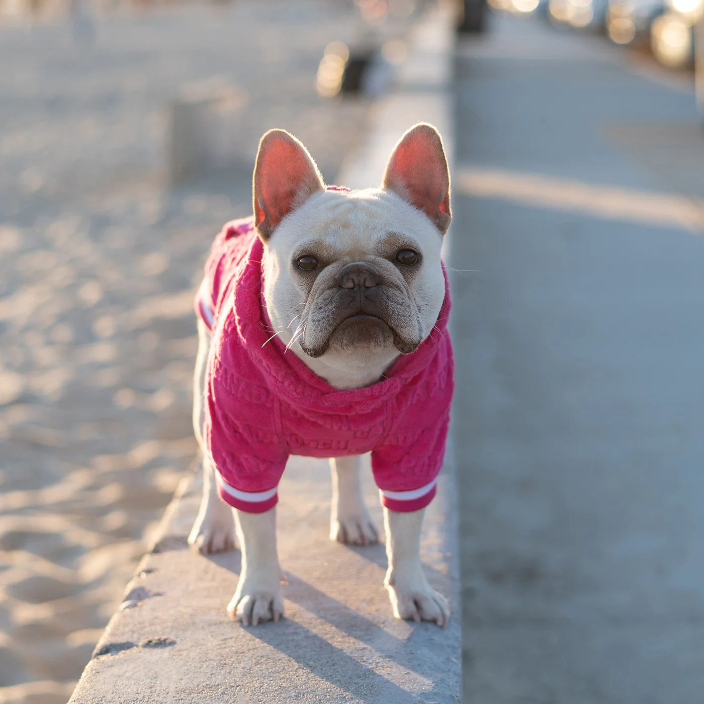 Canada Pooch Beach Bum Towel Hoodie - Image 5
