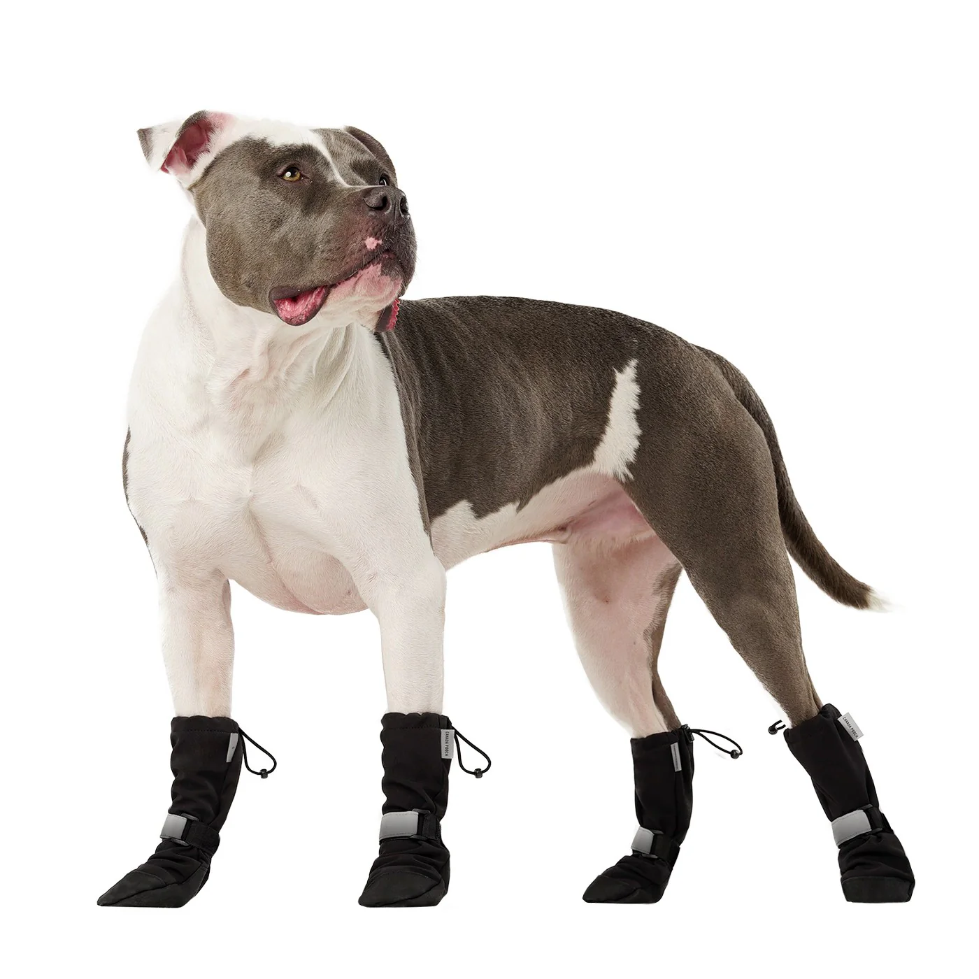 Canada Pooch Soft Shield Boots - Image 5