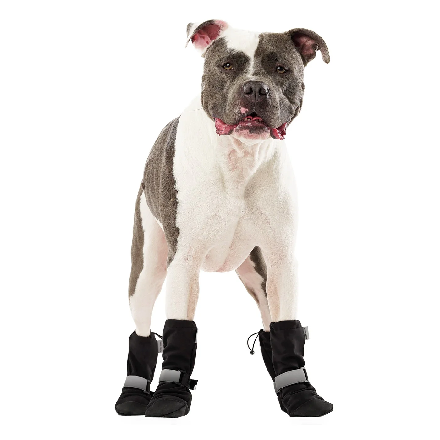 Canada Pooch Soft Shield Boots - Image 6
