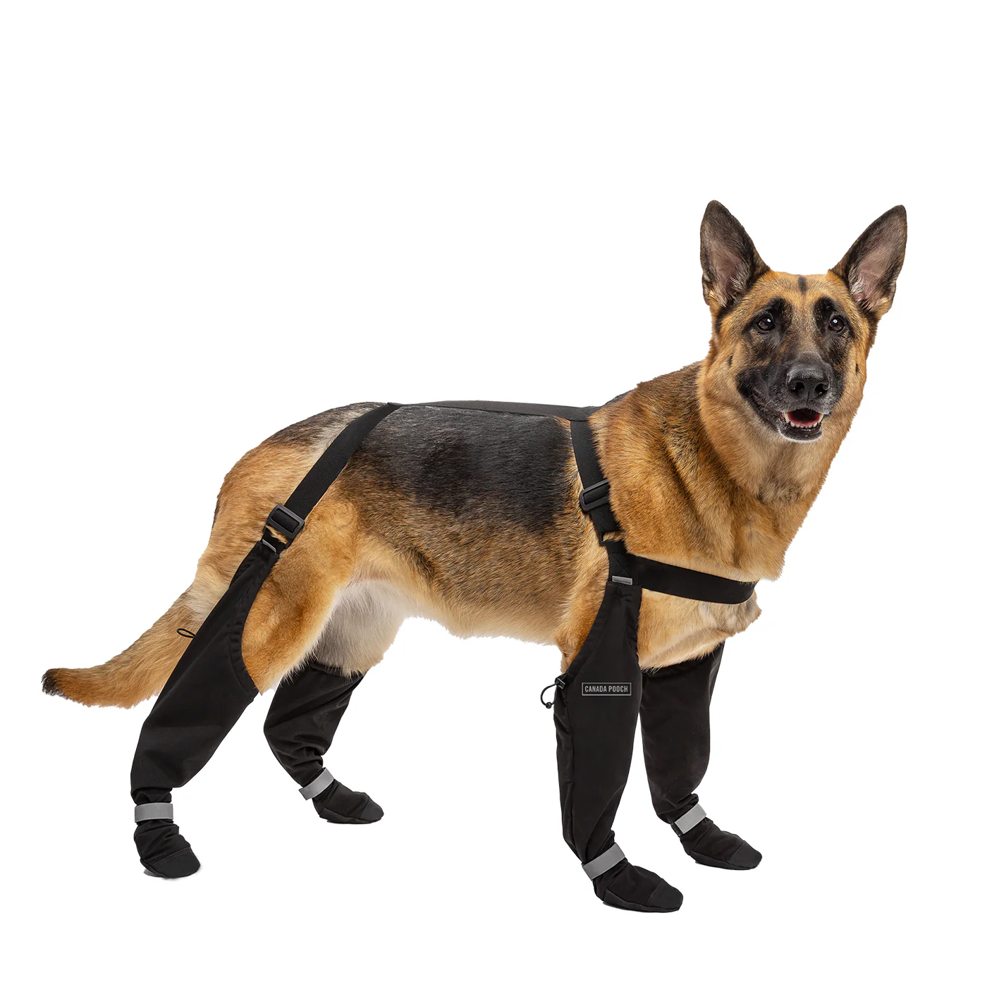 Canada Pooch Suspender Boots - Size 2