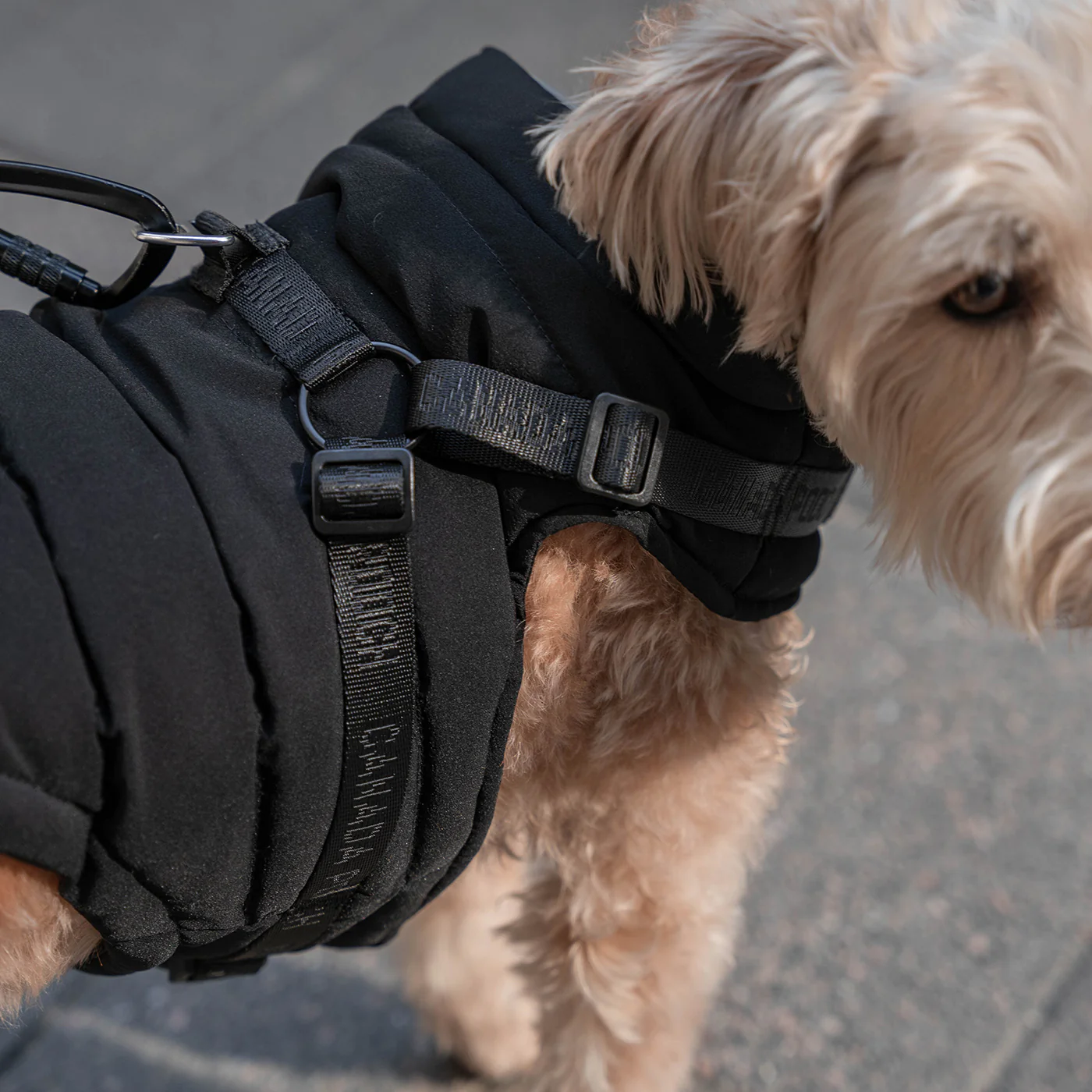 Canada Pooch The Harness Puffer - Image 8