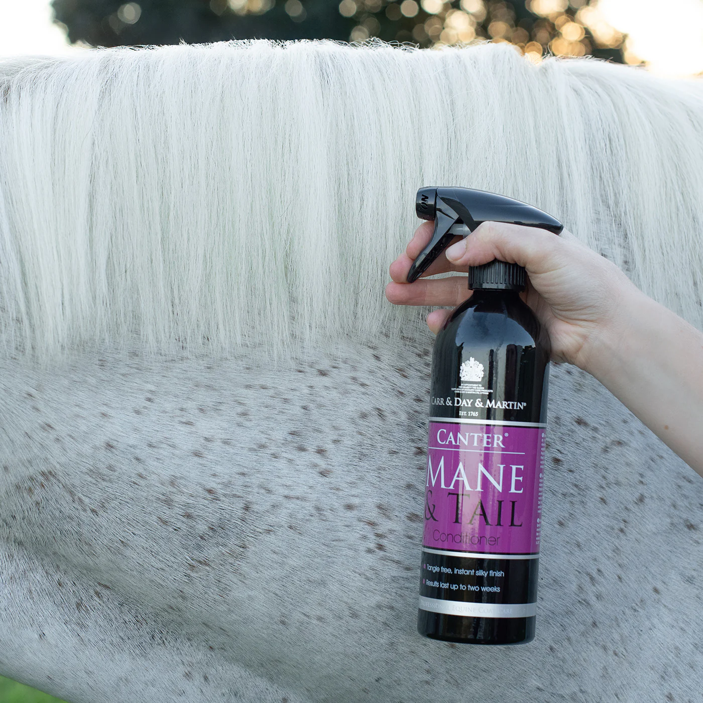 Carr & Day & Martin Equimist Canter Mane & Tail Conditioner 500 mL - Image 3