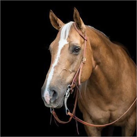 Copper Canyon Harness Leather One Ear Headstall W/ Ties - Image 2