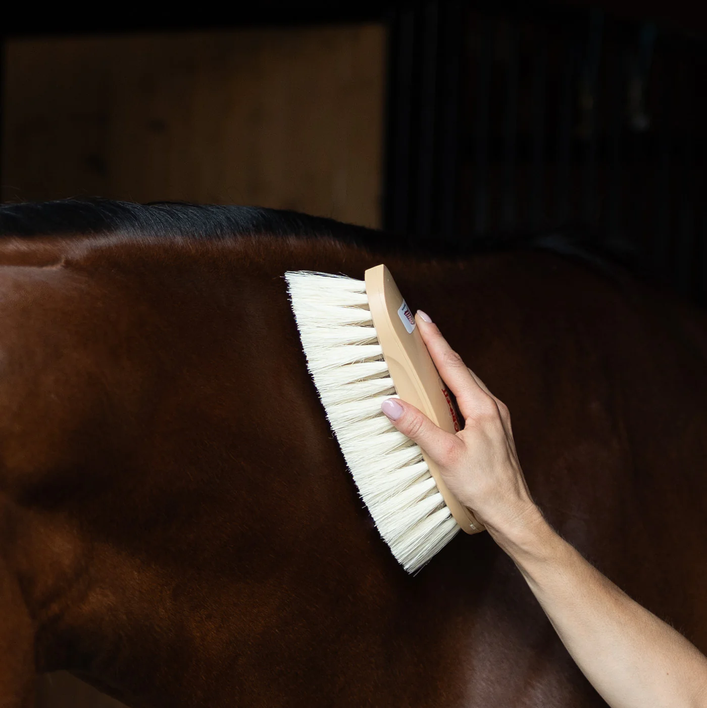 Decker Showman Dandy Brush - Image 3