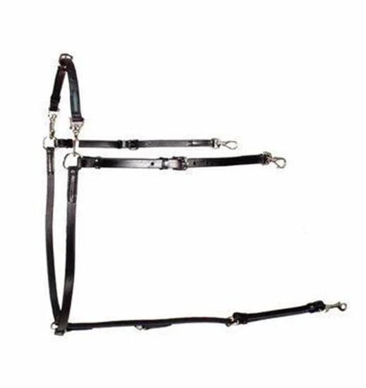 Gaitmaster Buxton Breast Collar - Image 4