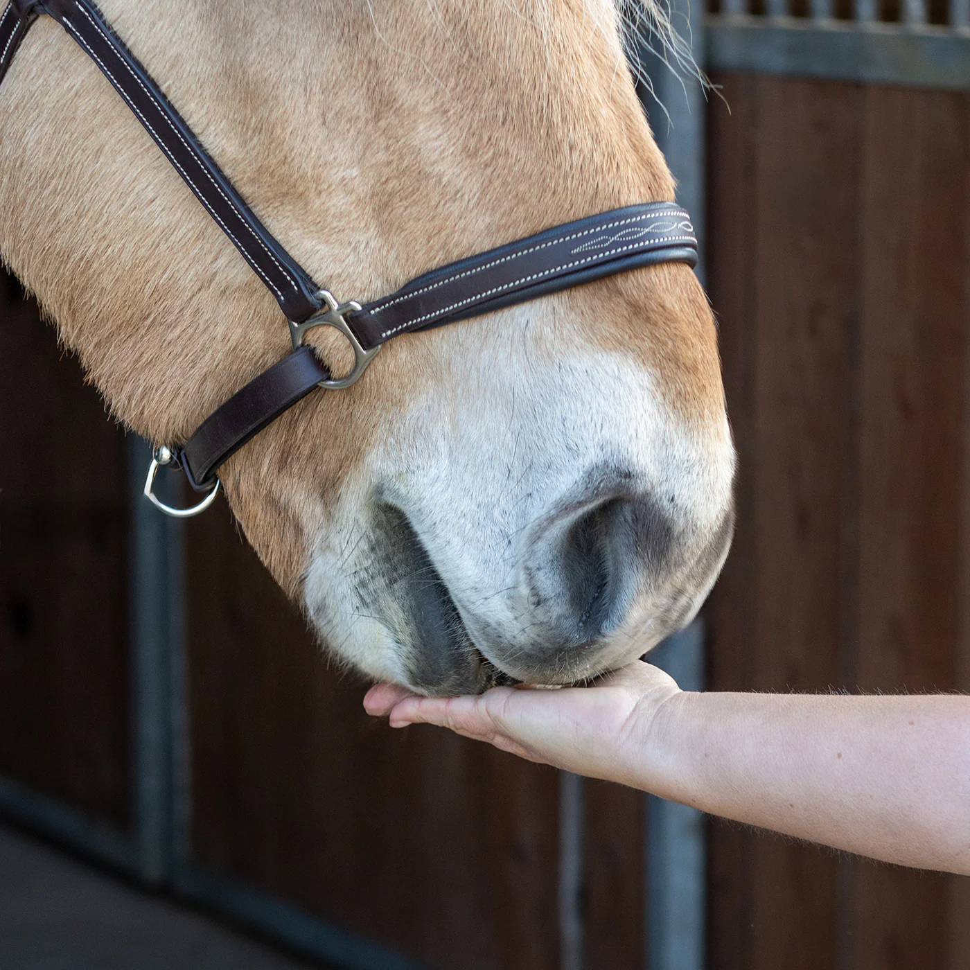 Nickers Original Muffins Horse Treats - Image 10