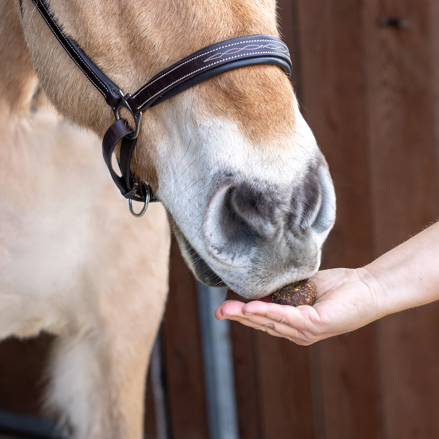 Nickers Original Muffins Horse Treats - Image 14