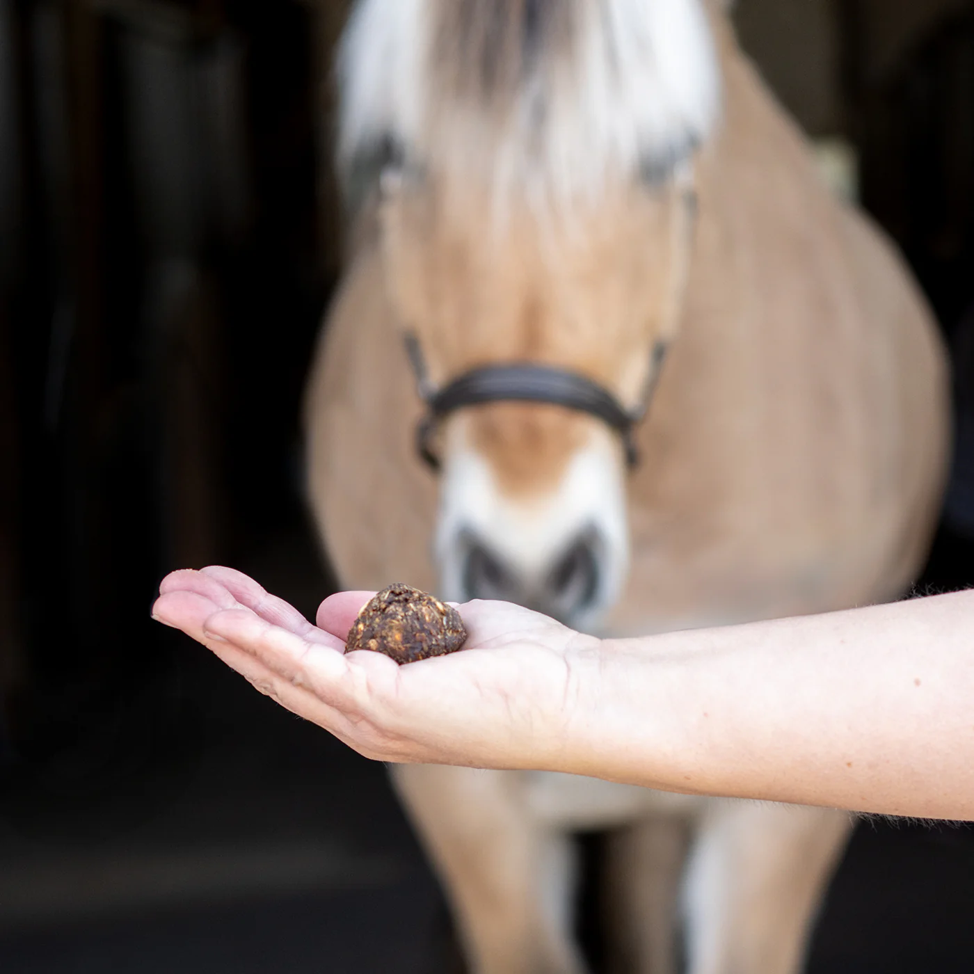 Nickers Original Muffins Horse Treats - Image 28