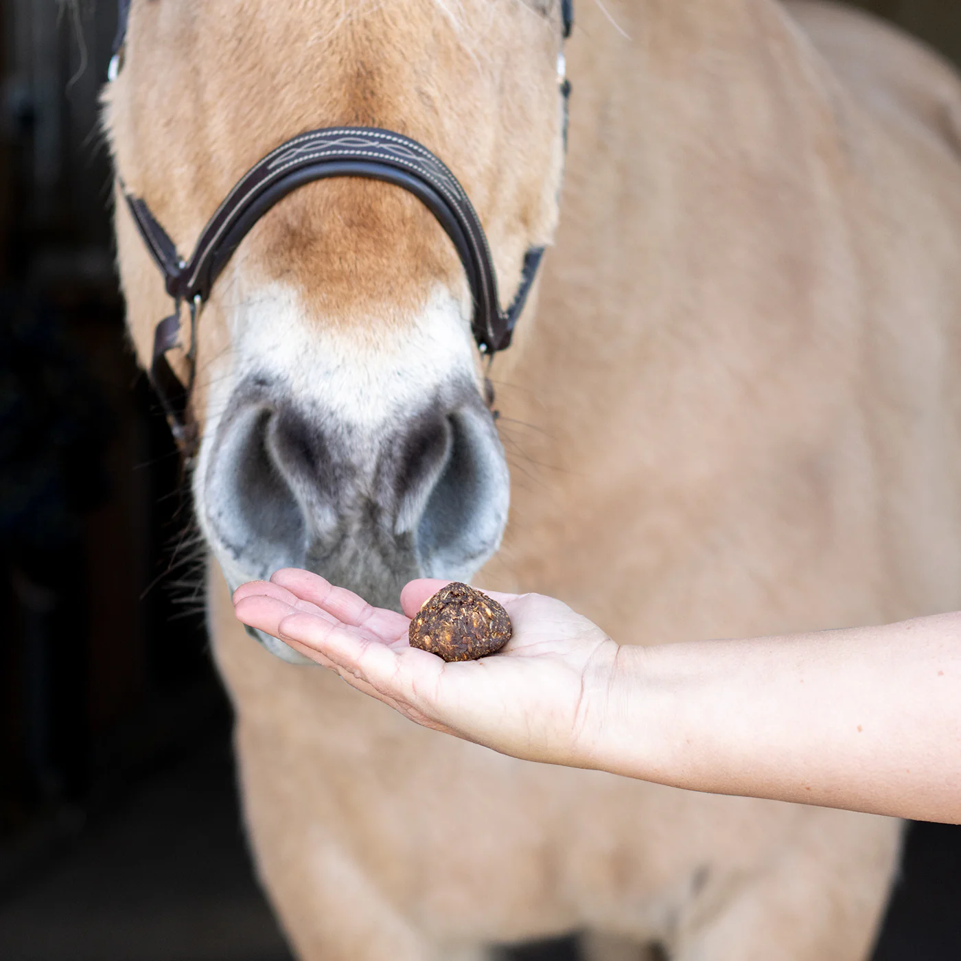 Nickers Original Muffins Horse Treats - Image 37