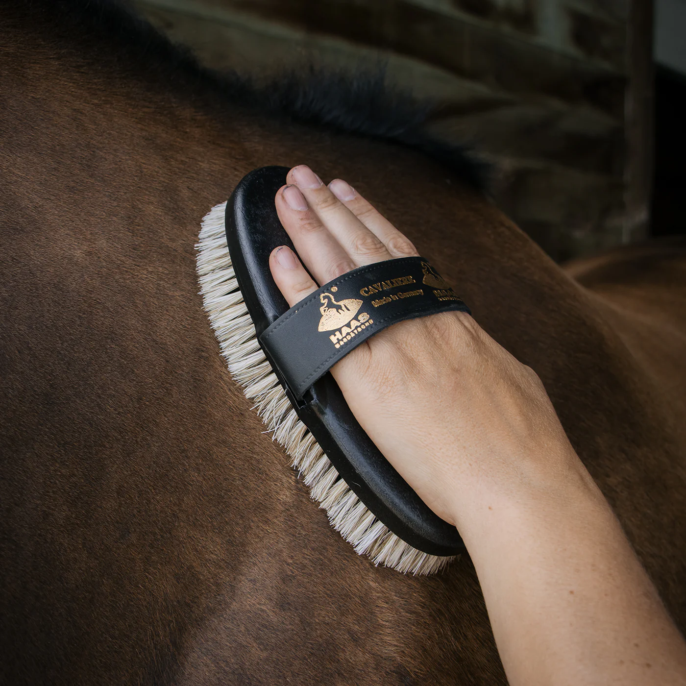 Haas Cavaliere Brush - Image 5