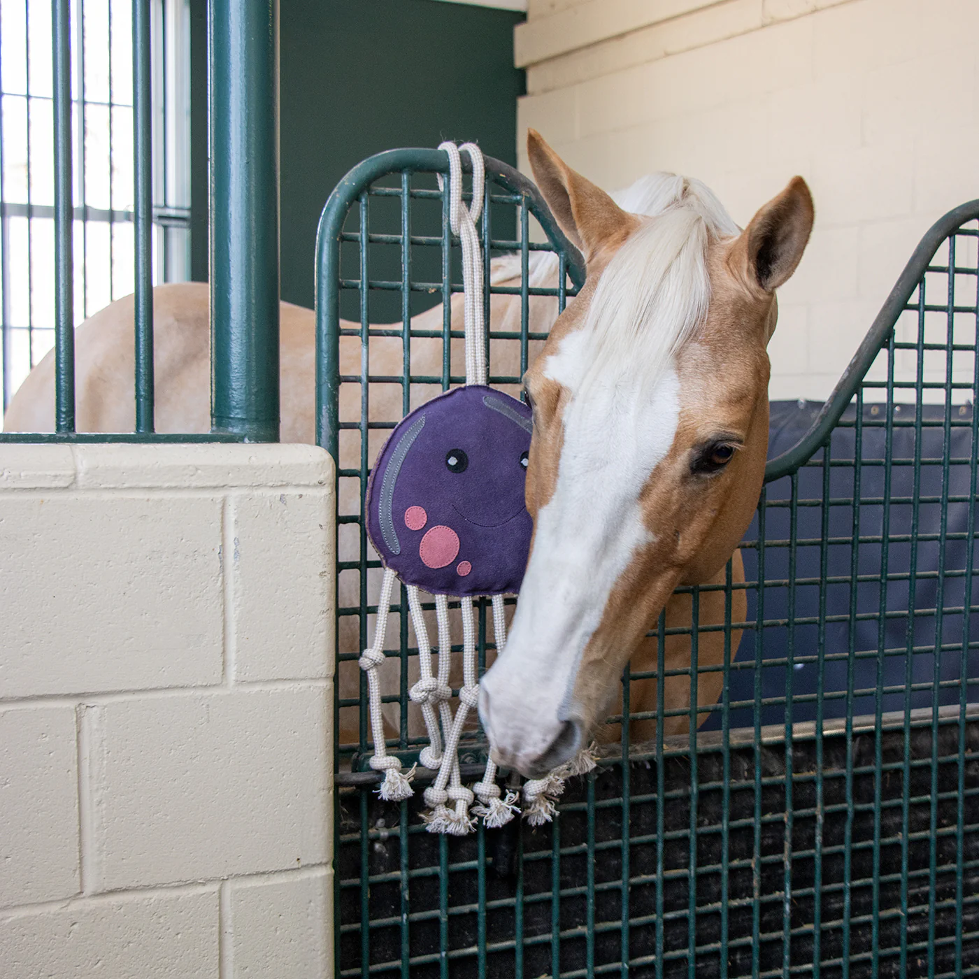 Holland James Octopus Horse Toy - Image 5