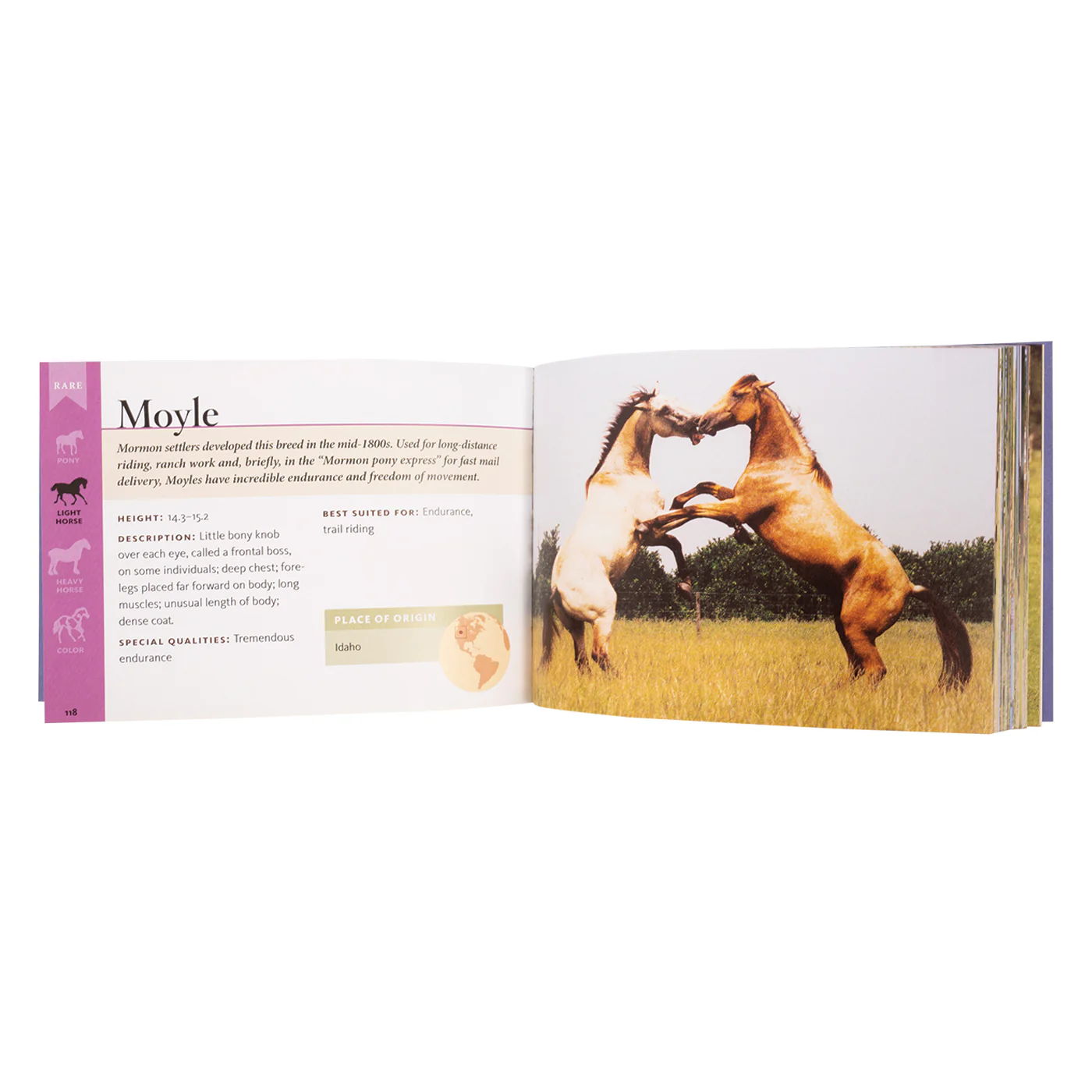 Horse Breeds of North America - Image 2