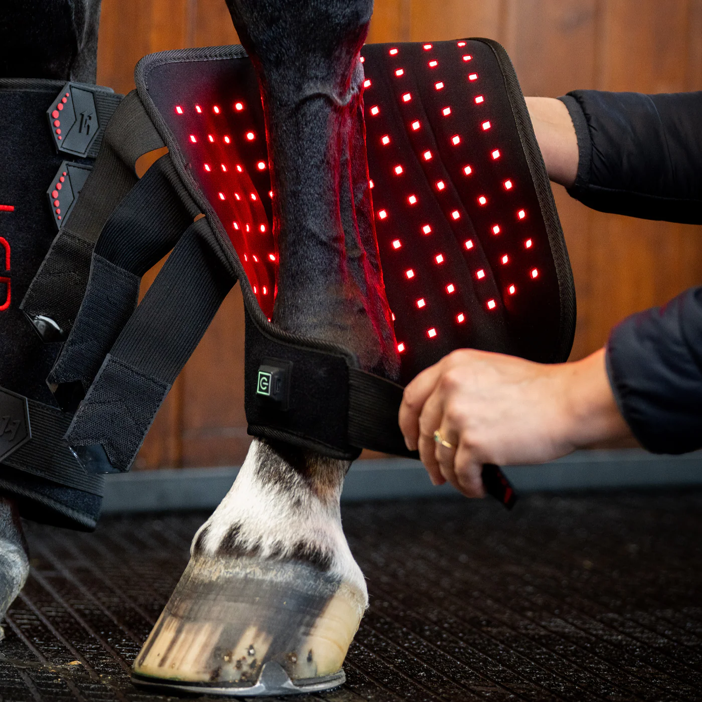 Horseware LED Red Light Therapy Left Leg Wrap - Image 2