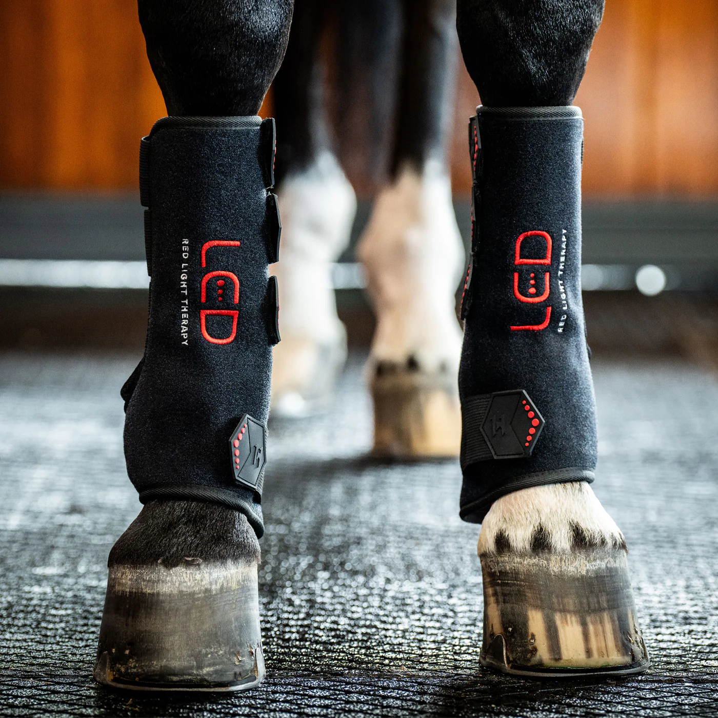 Horseware LED Red Light Therapy Left Leg Wrap - Image 4