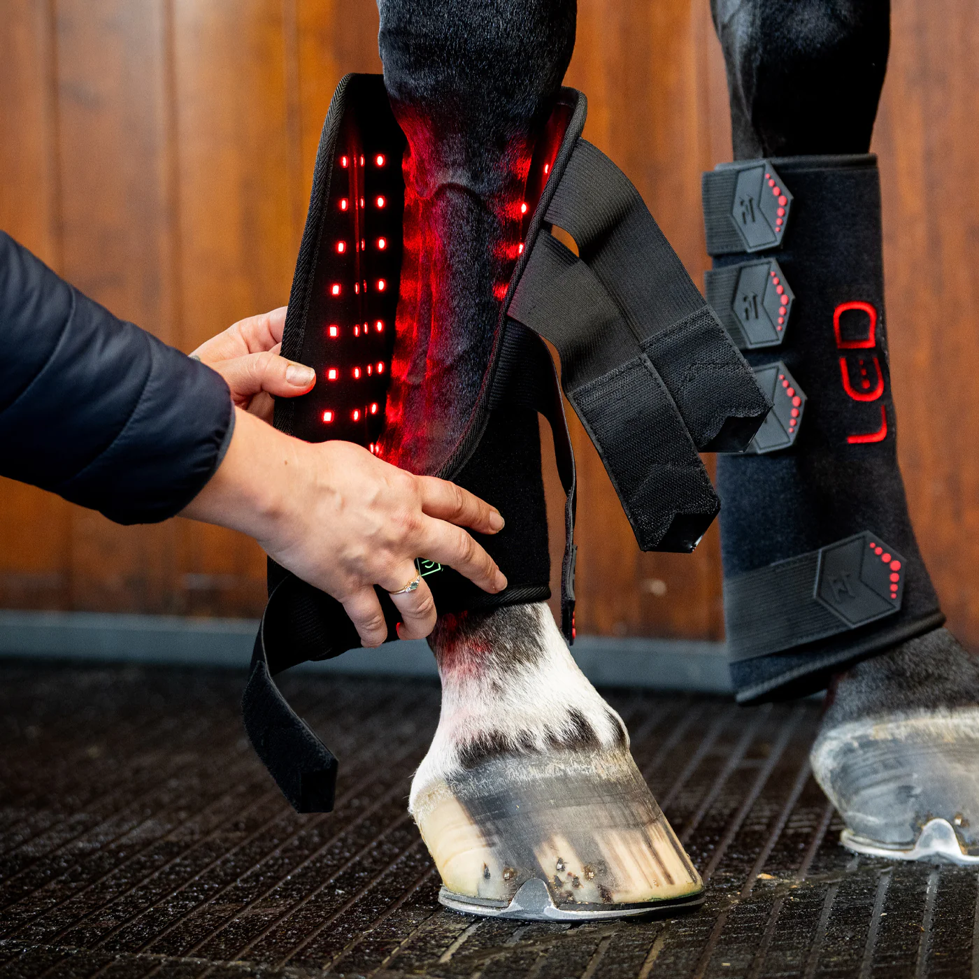 Horseware LED Red Light Therapy Right Leg Wrap