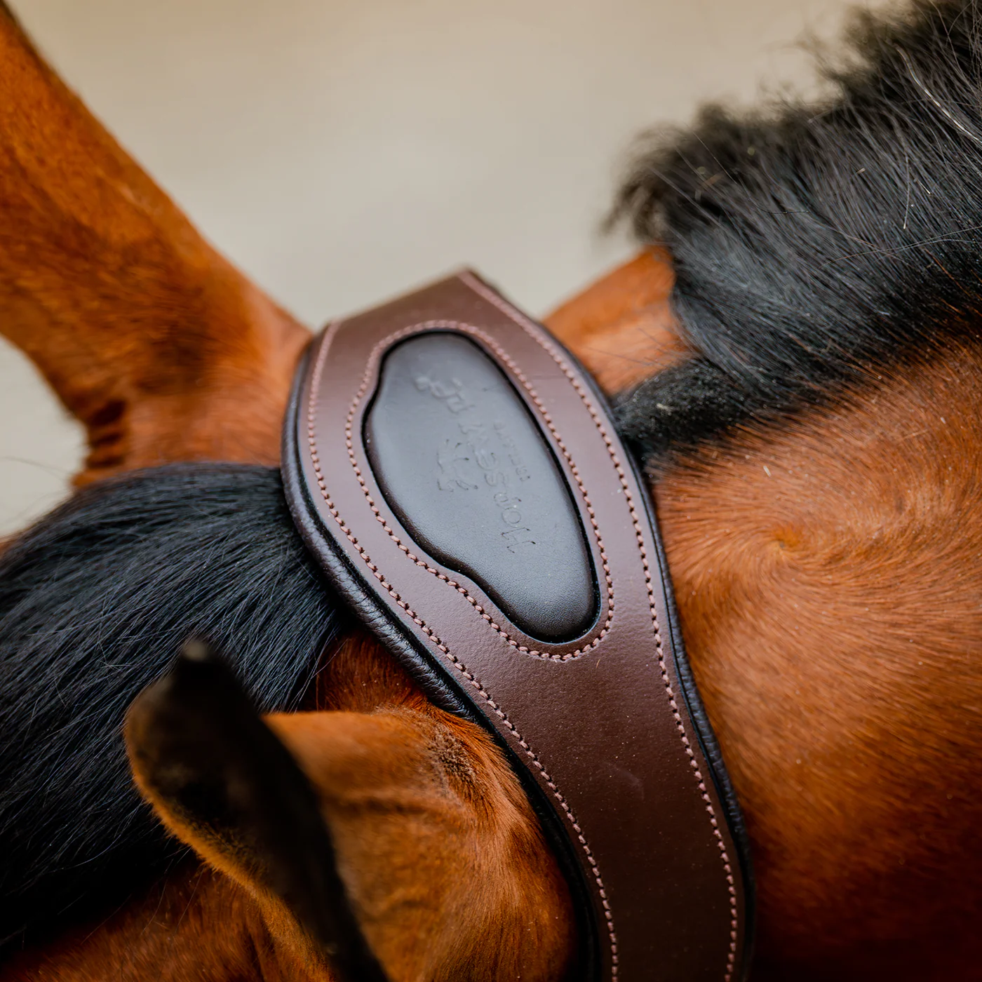 Horseware Signature Competition Halter - Image 9