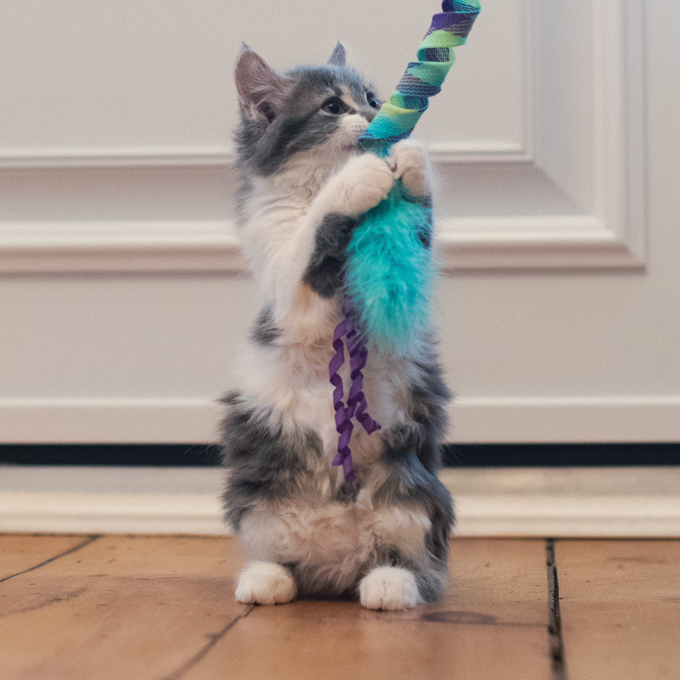Kong Curlz Cat Teaser - Image 2