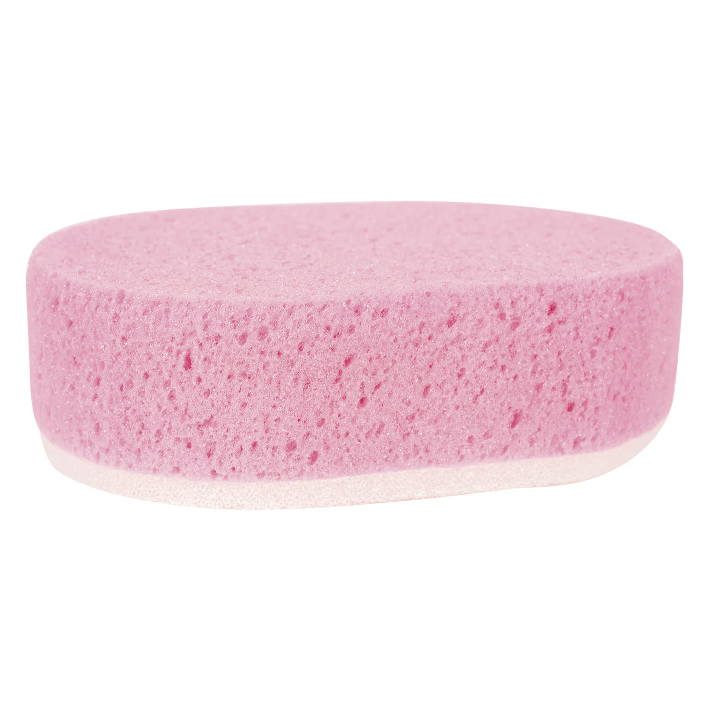 Large Scrub Sponge - Image 4