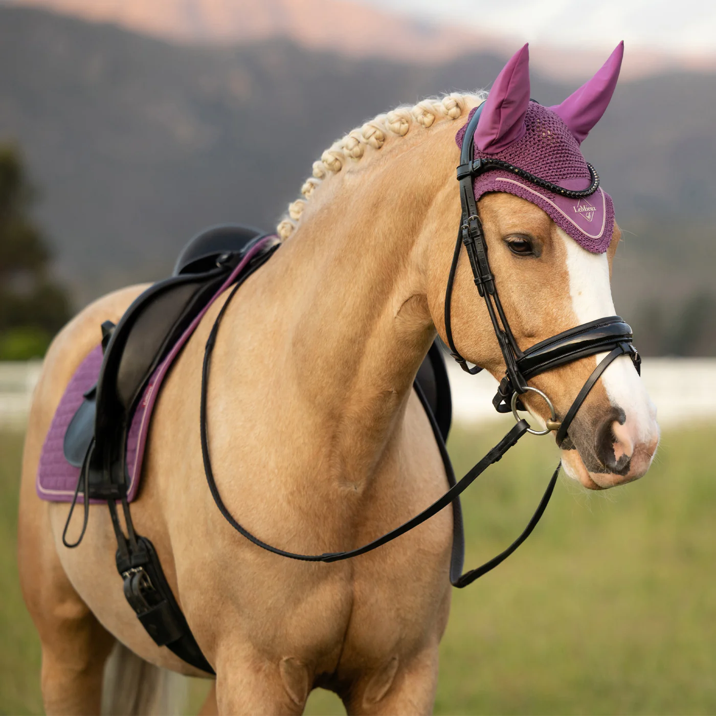 LeMieux Classic Fly Veil - Image 5