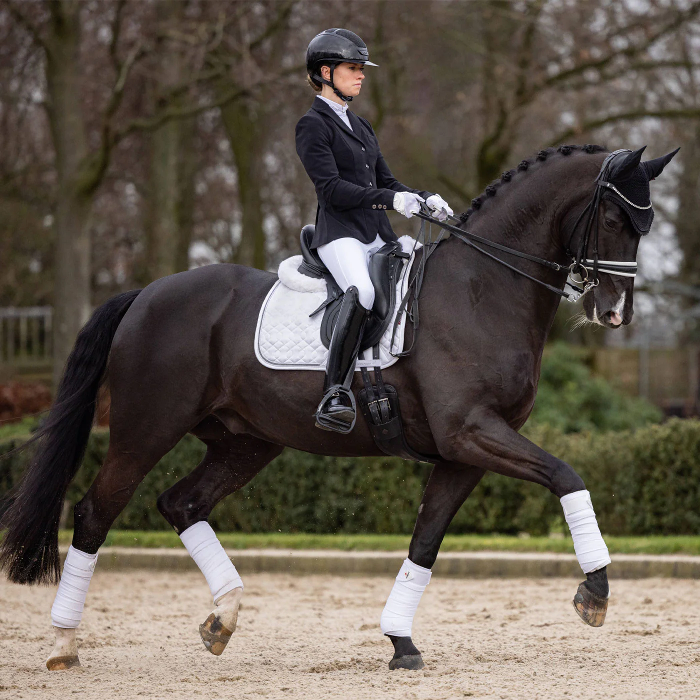 LeMieux Crystal Suede Dressage Saddle Pad - Image 10