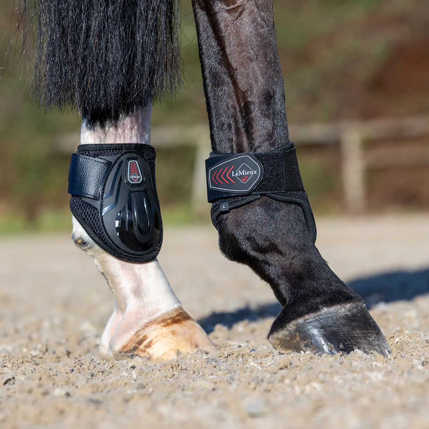 LeMieux Derby Projump Fetlock Boots - Image 5