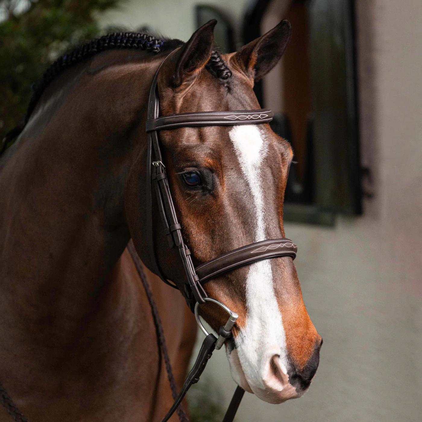 LeMieux Hunter Bridle W/ Reins - Image 2