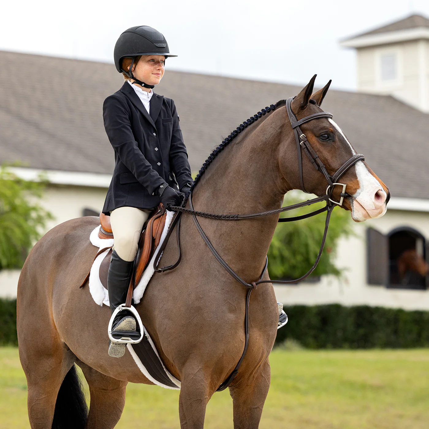 LeMieux Hunter Standing Martingale - Image 2