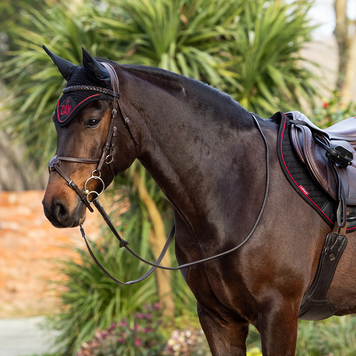 LeMieux iCAN Fly Veil - Image 4