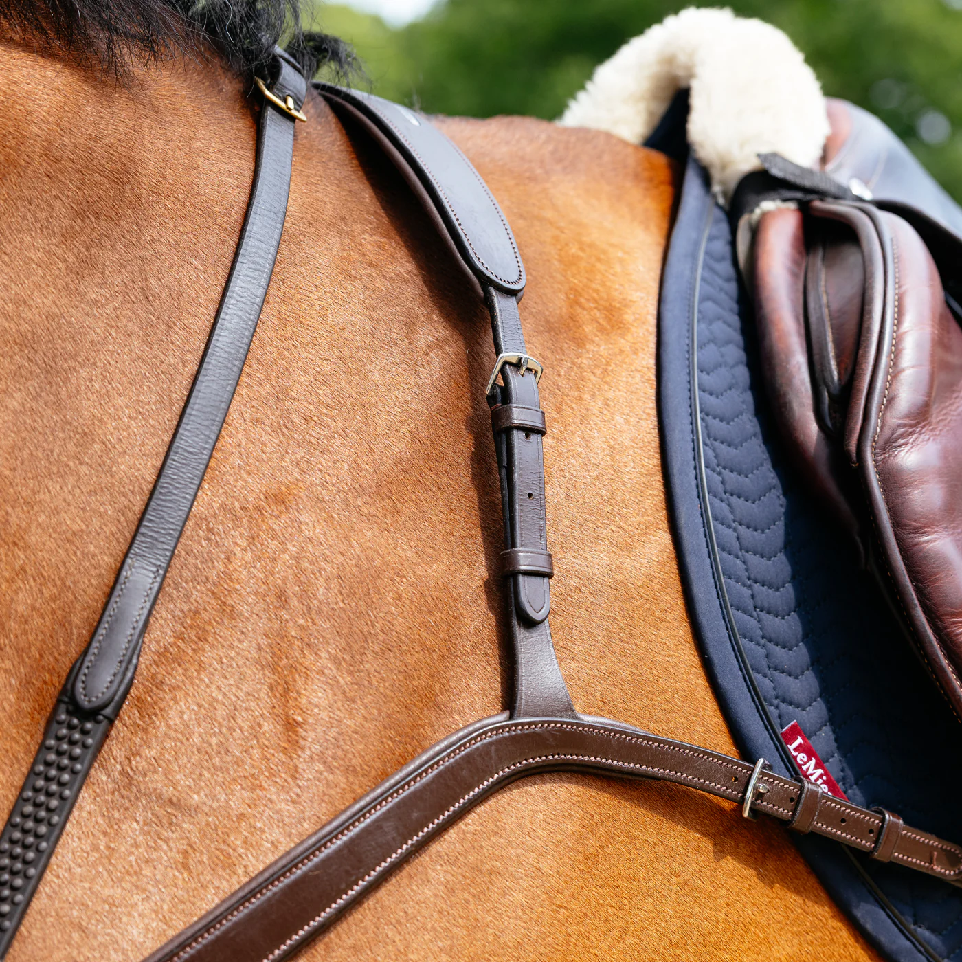 LeMieux Kudos Bridge Breastplate - Image 3