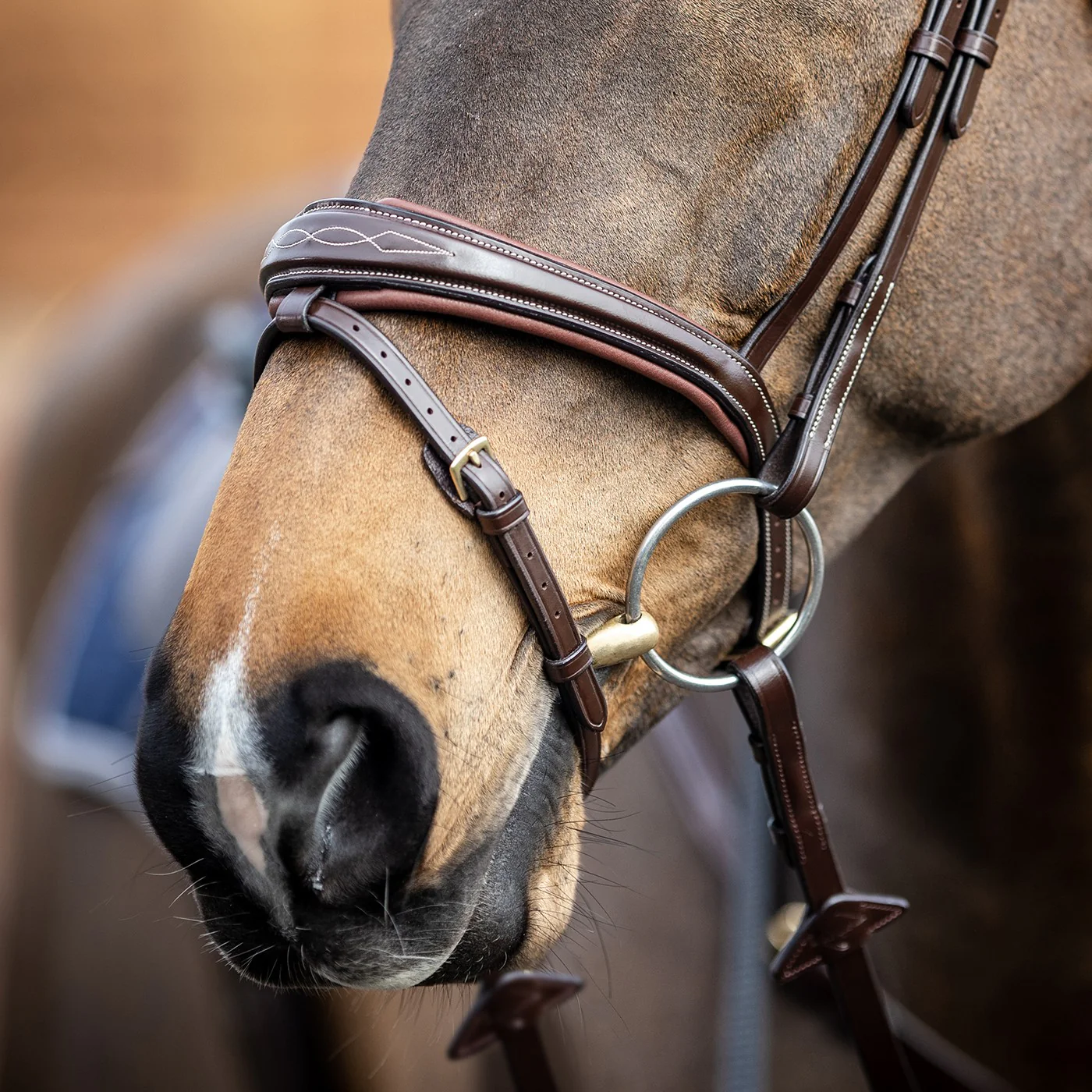 LeMieux Kudos Competition Flash Bridle - Image 4