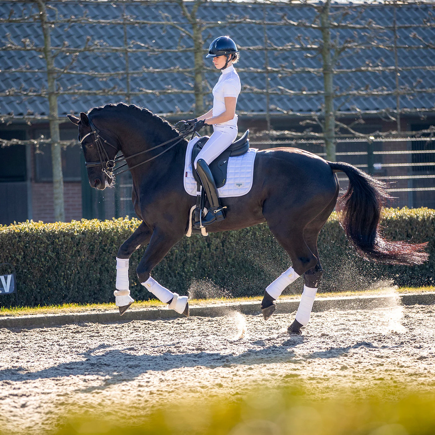 LeMieux Loire Classic Dressage Square Saddle Pad - Image 6