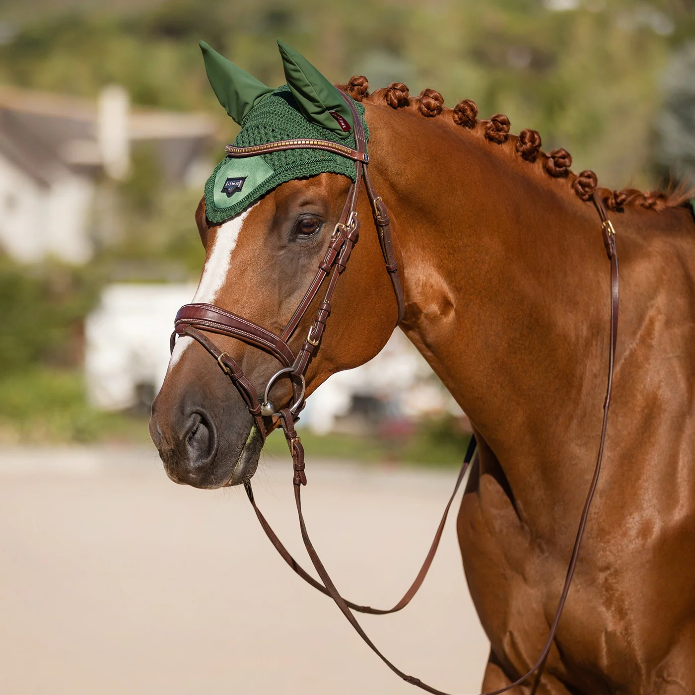 LeMieux Loire Fly Veil - Image 26