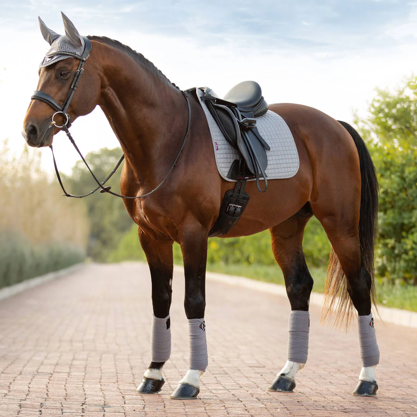 LeMieux Suede Dressage Square Saddle Pad - Image 17