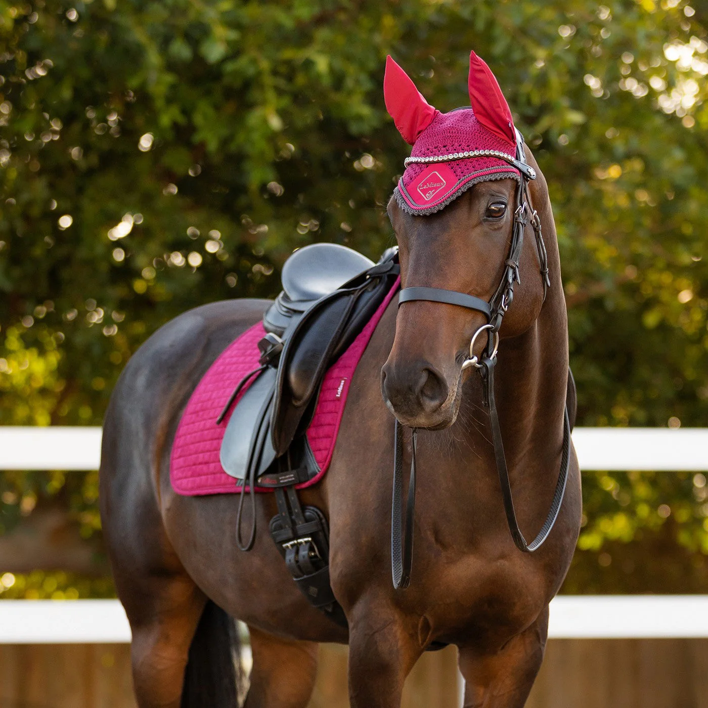 LeMieux Suede Dressage Square Saddle Pad - Image 21