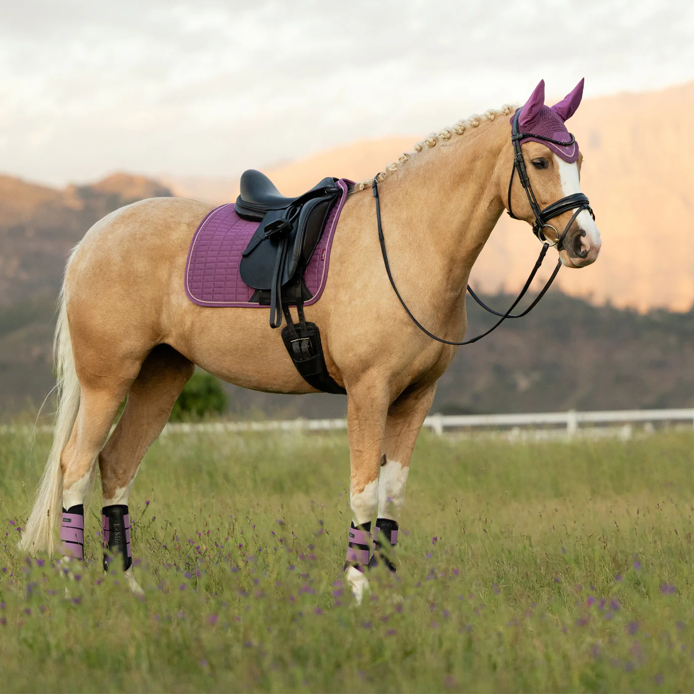 LeMieux Suede Dressage Square Saddle Pad - Image 41