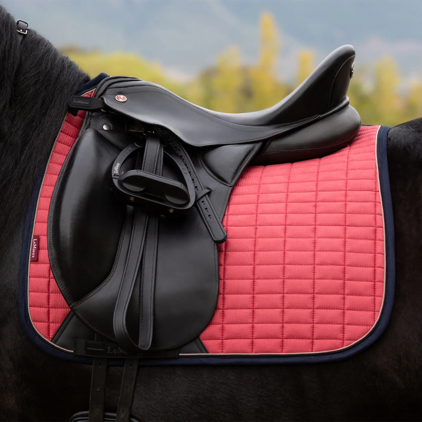 LeMieux Suede Dressage Square Saddle Pad - Image 4