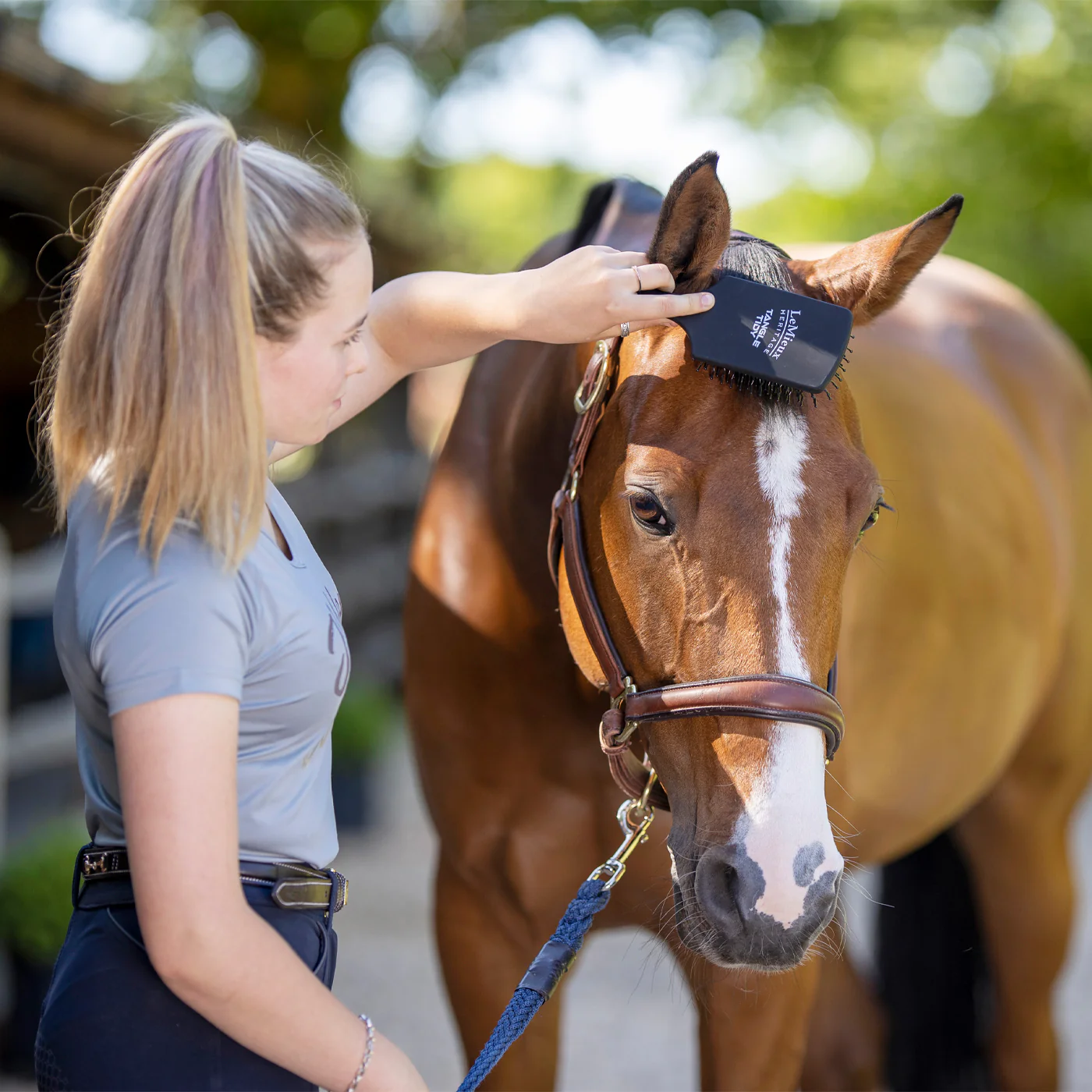 LeMieux Tangle Tidy Mane & Tail Brush - Image 3