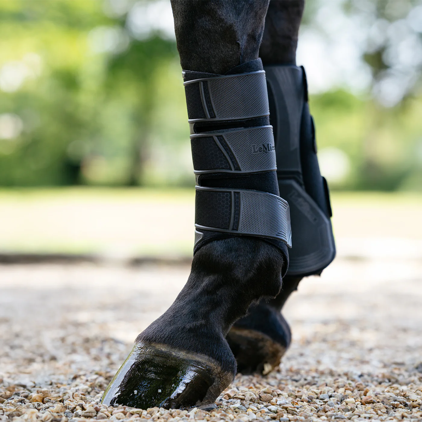 LeMieux Technical Brushing Boots - Image 3