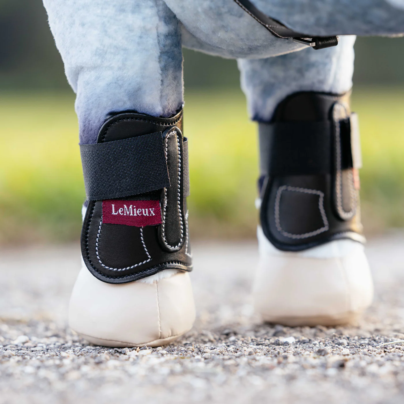 LeMieux Toy Pony Capella Boots - Image 2