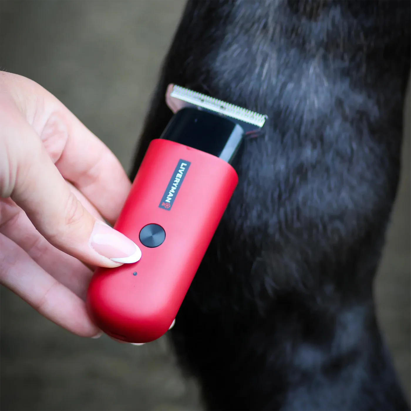 Liveryman Robin Horse Trimmer - Image 5