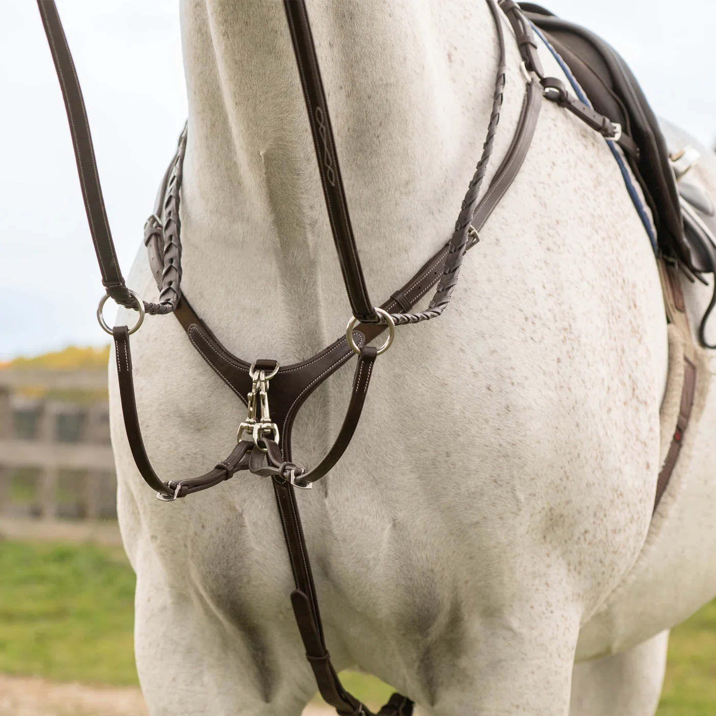 Mondega 5 Point Breastplate