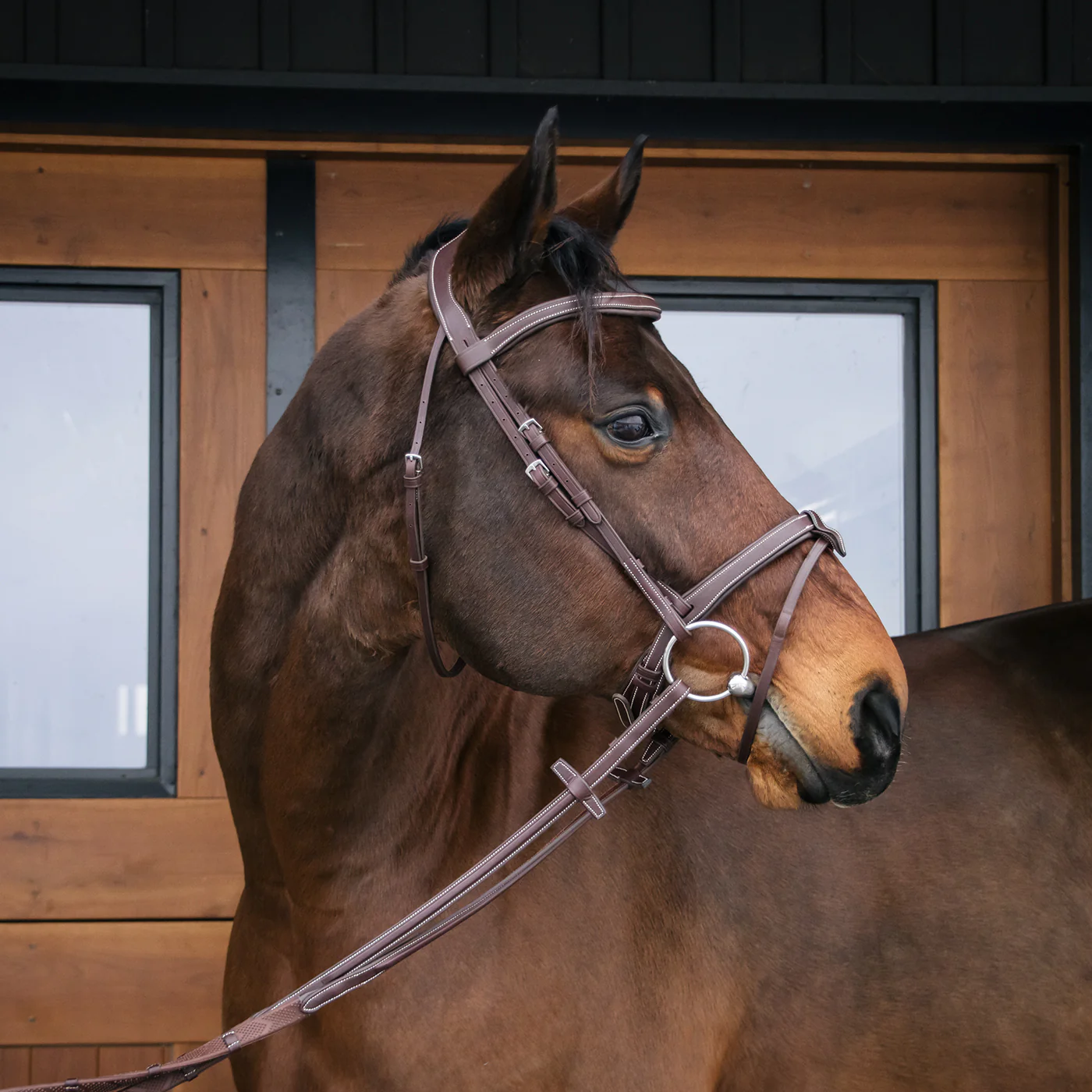 Mondega Bayeux Poll Relief Anatomical Bridle - Image 10